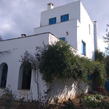 Aiolos Skála المظهر الخارجي الصورة